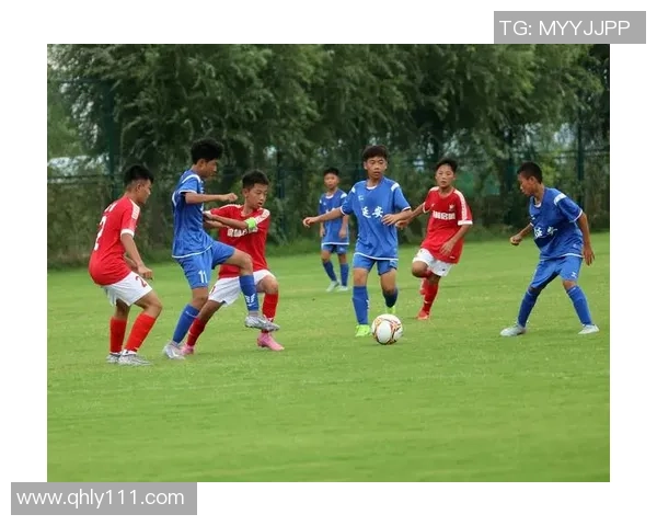 绿茵争锋世界足球豪门崛起与未来战术变革之路